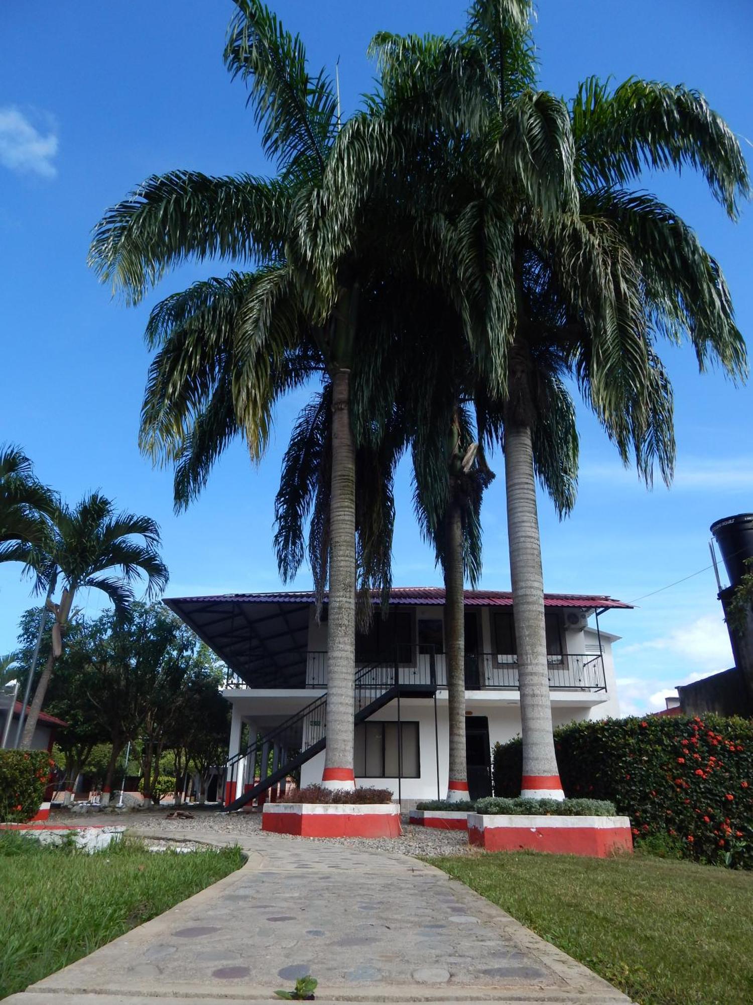 Hotel Campestre Las Palmas Sas Вилавиченцио Екстериор снимка
